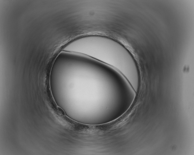 X0000090900201200707301018