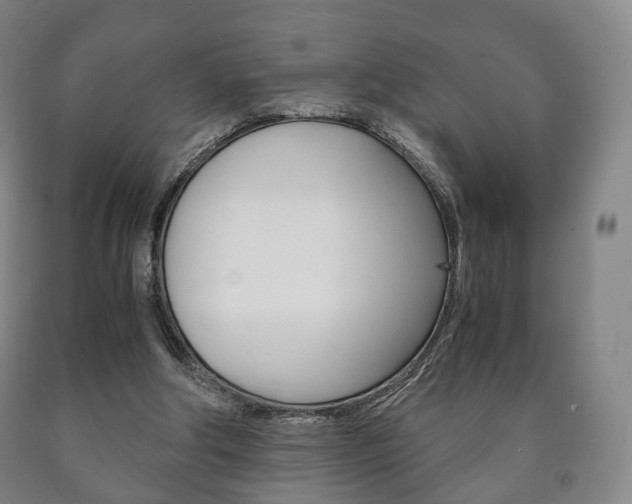 X0000090900202200707301018