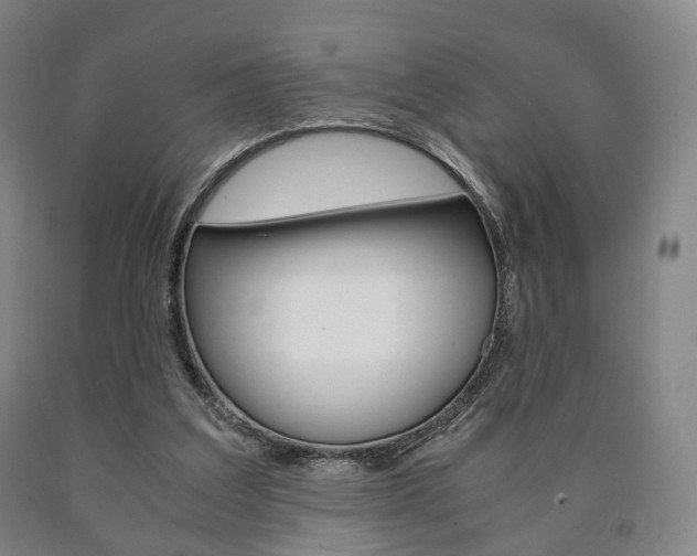 X0000090900203200707301018