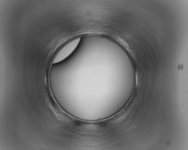 X0000090900205200707301018