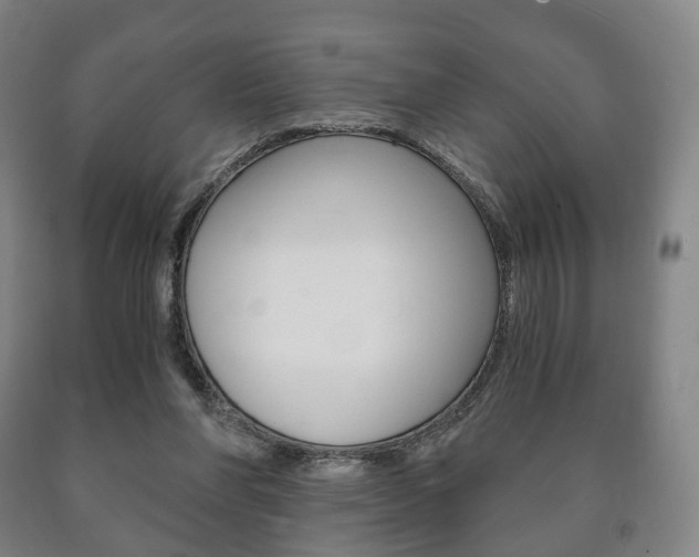 X0000090900206200707301018