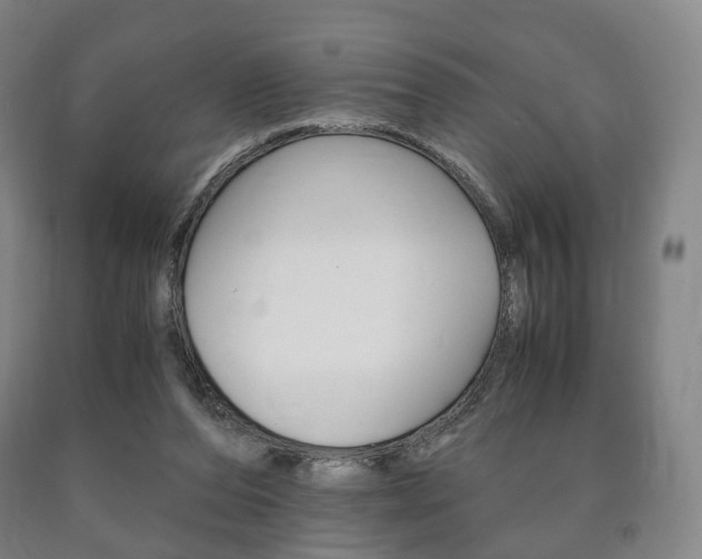 X0000090900208200707301018