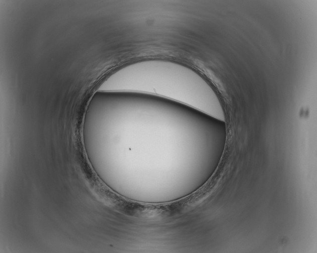 X0000090900209200707301018