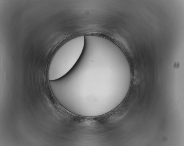 X0000090900210200707301018