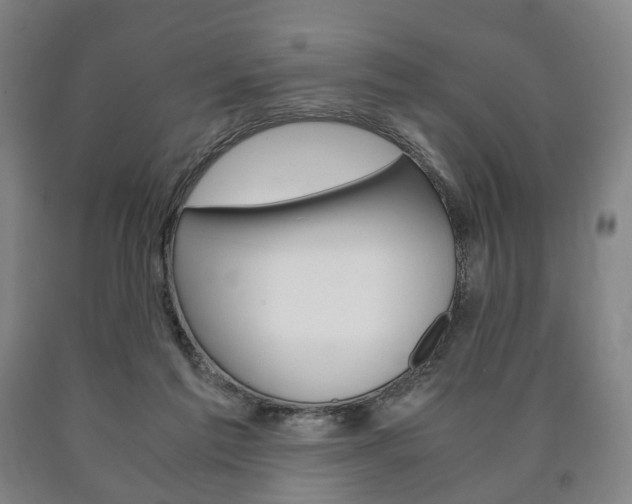X0000090900213200707301018