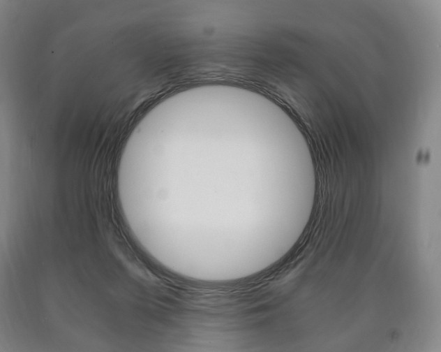 X0000090900215200707301018