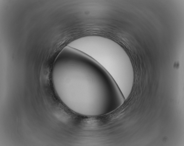 X0000090900219200707301018