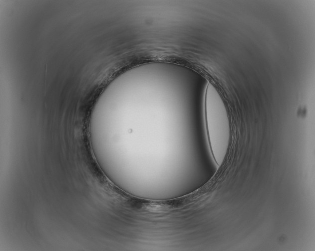 X0000090900221200707301018