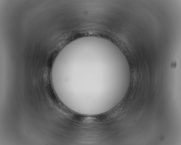 X0000090900222200707301018