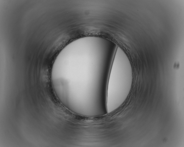 X0000090900224200707301018