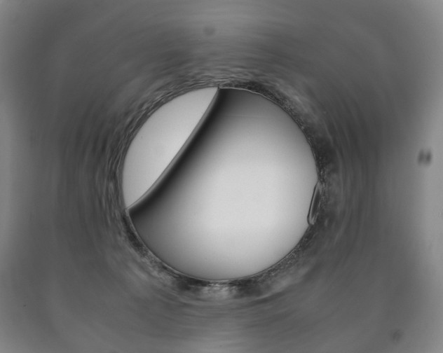 X0000090900225200707301018
