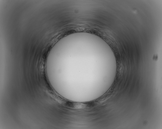 X0000090900226200707301018