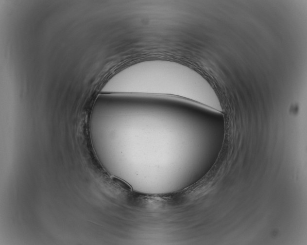 X0000090900229200707301018