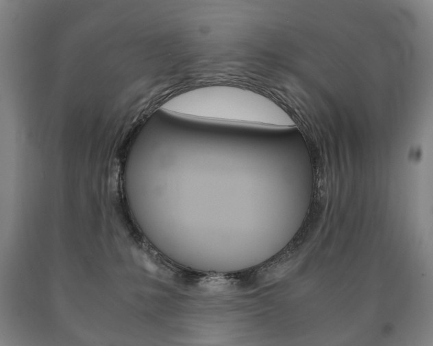 X0000090900231200707301018