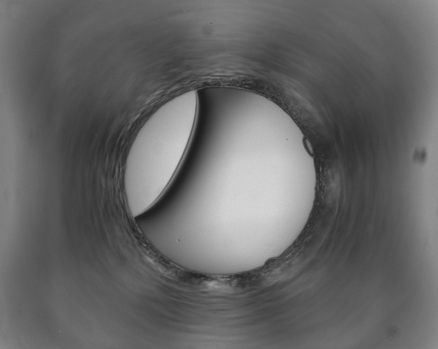 X0000090900232200707301018