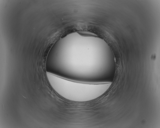 X0000090900233200707301018