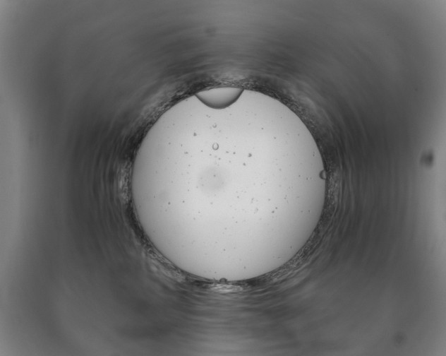 X0000090900234200707301018