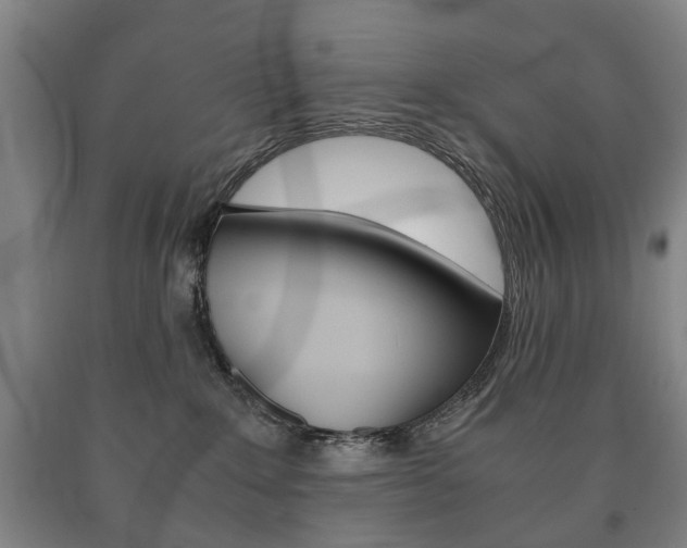 X0000090900235200707301018
