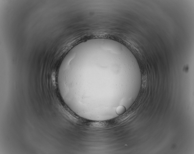 X0000090900238200707301018