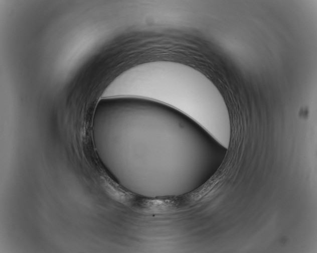 X0000090900239200707301018