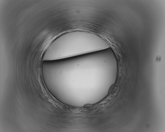 X0000090900241200707301017