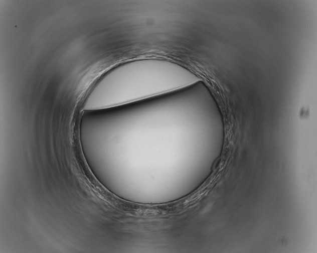 X0000090900242200707301017