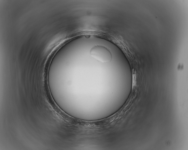 X0000090900243200707301017