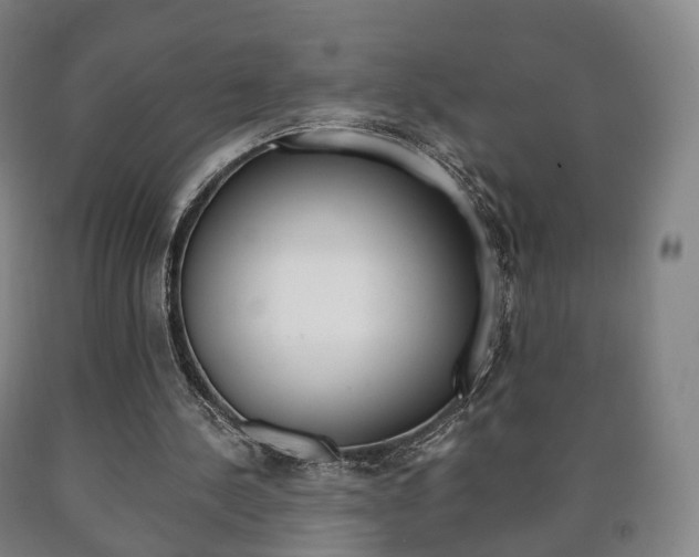 X0000090900244200707301017