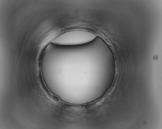 X0000090900245200707301017
