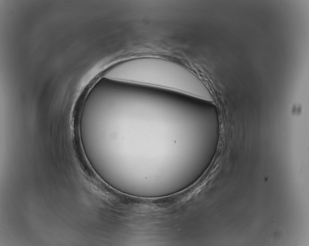 X0000090900246200707301017
