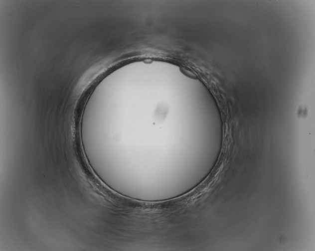 X0000090900247200707301017