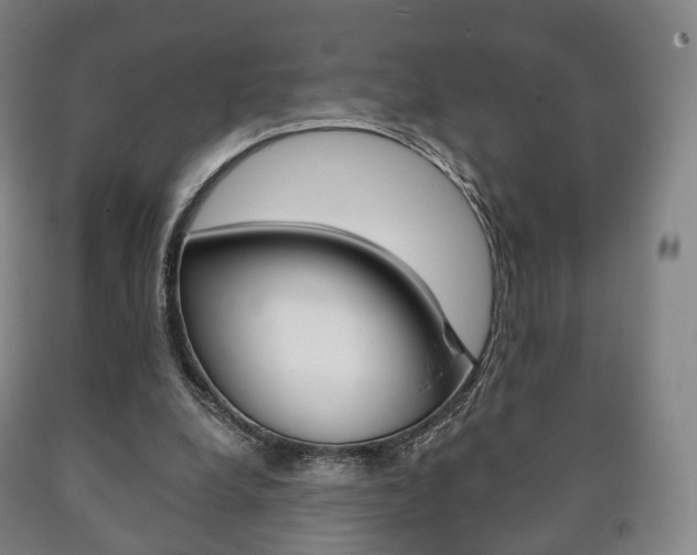X0000090900248200707301017