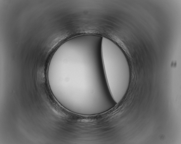 X0000090900251200707301017