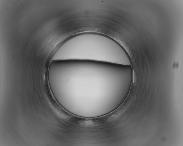 X0000090900253200707301017