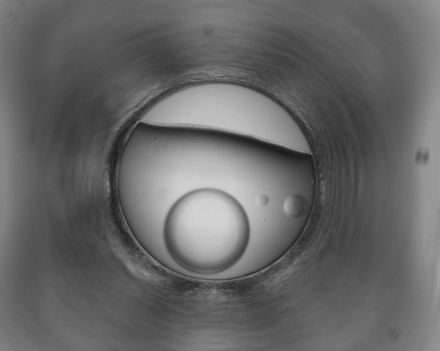 X0000090900254200707301017