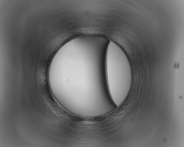 X0000090900255200707301017