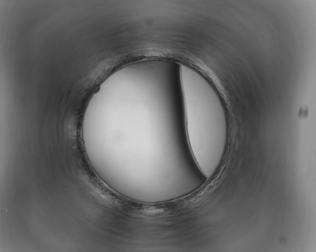 X0000090900257200707301017