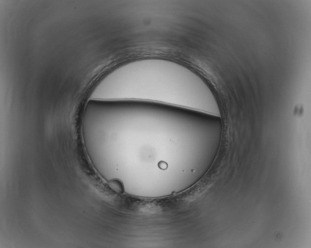 X0000090900258200707301017