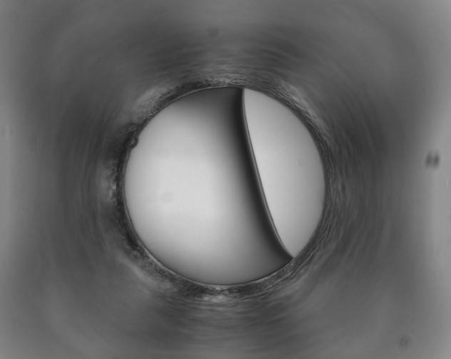 X0000090900259200707301017