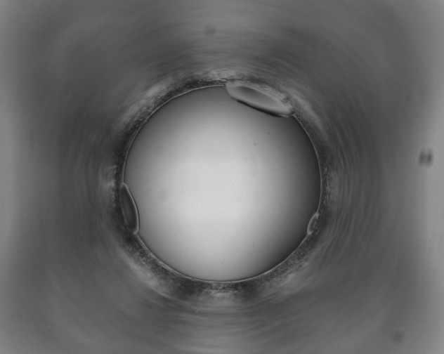 X0000090900260200707301017