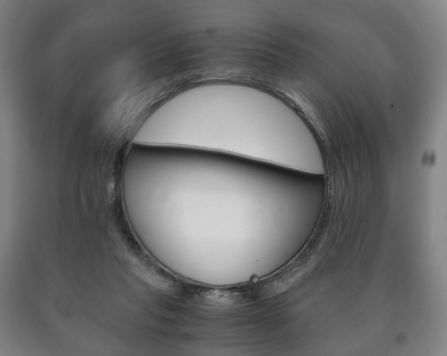 X0000090900261200707301017