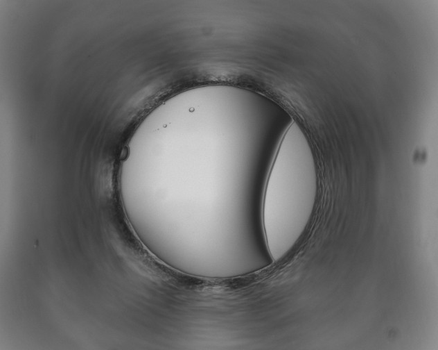 X0000090900262200707301017