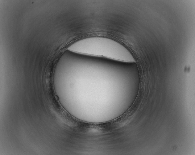 X0000090900263200707301017