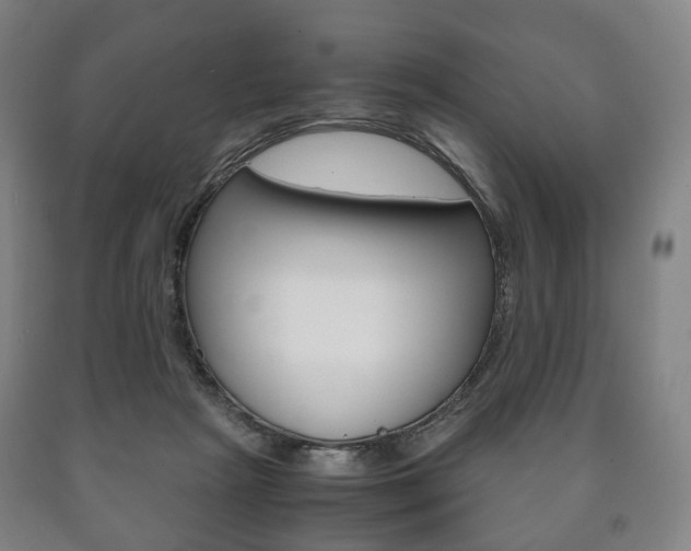 X0000090900265200707301017