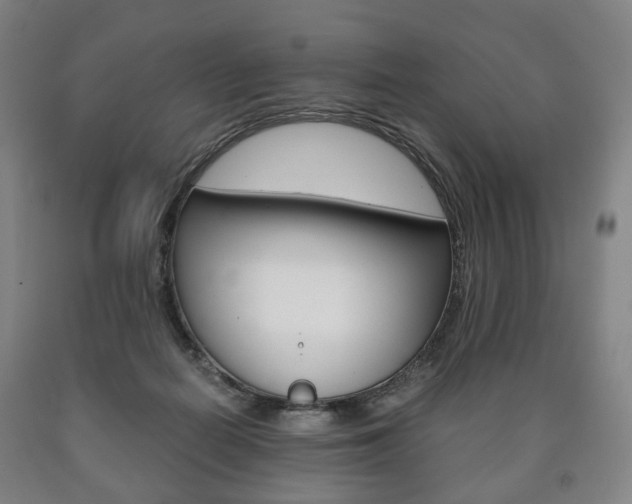X0000090900266200707301017