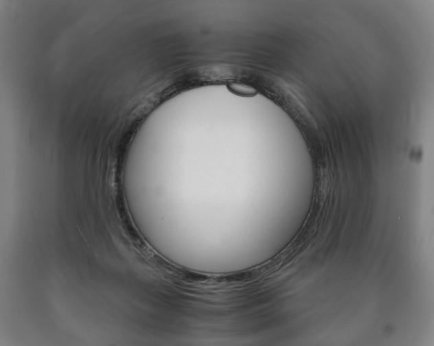 X0000090900267200707301017
