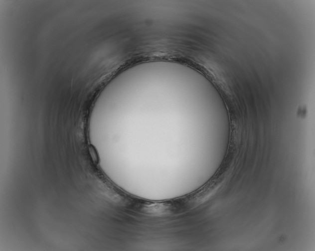 X0000090900269200707301017
