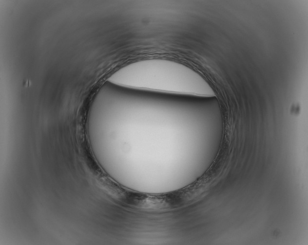 X0000090900270200707301017