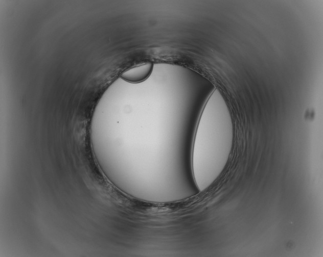 X0000090900271200707301017
