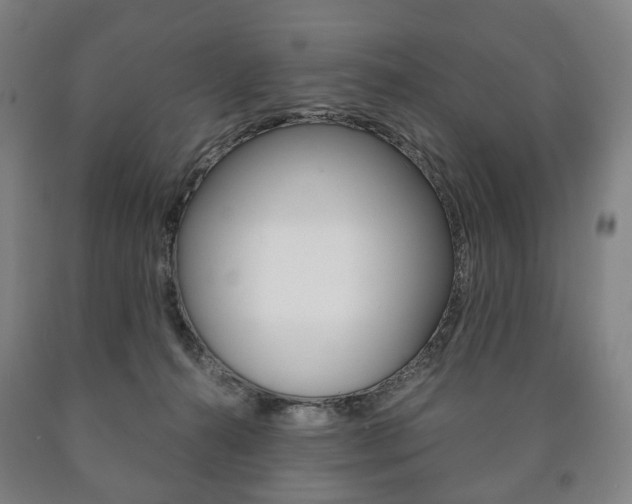 X0000090900272200707301017